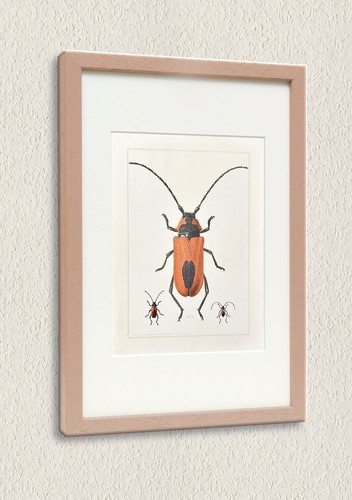Kunstvolle illustrationen der - kunstvolle,